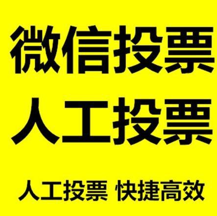 三门峡市投票活动拉票能被查出来吗？如何操作能不被发现？